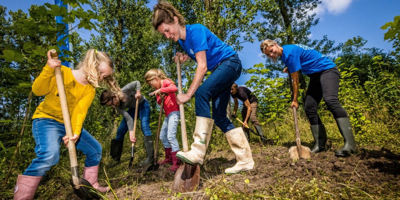 Trees for All certificaat